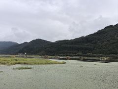 -腾冲北海湿地