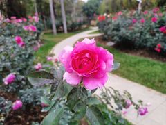 -人民公园(罗湖区)