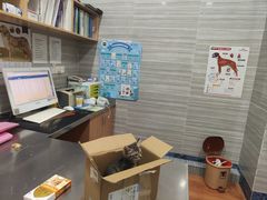 -瑞派名望志远动物医院·猫科·內科·异宠专科(直港大道店)