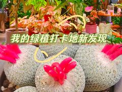 -瑞虹新天地月亮湾