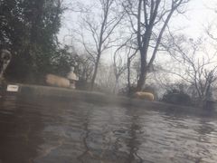 picture-南京汤山紫清湖生态旅游温泉度假区