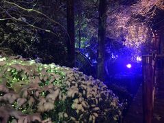 -天目湖御水温泉·度假酒店