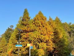-南京市无想山景区