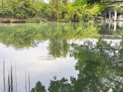 -小洲村