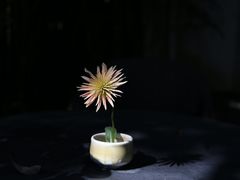 -凤凰御元艺术基地