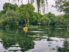 -柳浪闻莺公园