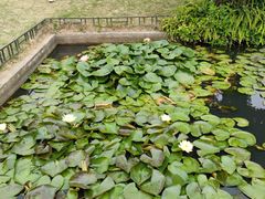 -广州莲花山旅游区