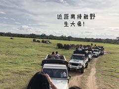 -Ministry of Crab(科伦坡店)