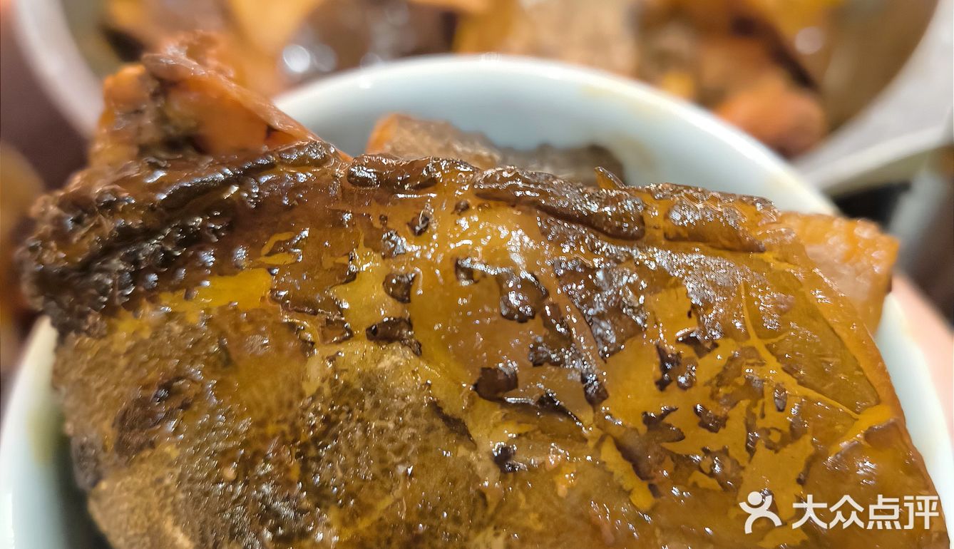 秋冬进补必不可少的食材‼️甲鱼