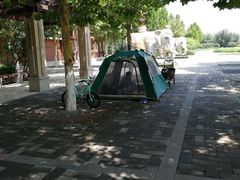 -永定河休闲森林公园