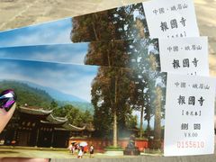 -峨眉山报国寺