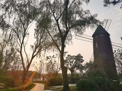 -昆山城市生态森林公园