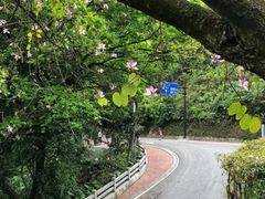 -广州市白云山风景名胜区