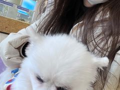 -怪兽屋·羊驼·猫咖·狗咖(俊华广场店)