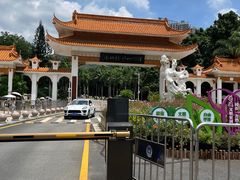 -深圳仙湖植物园