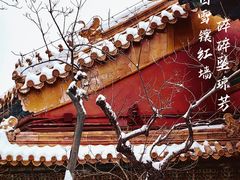-故宫博物院(故宫)