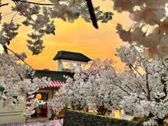 -Blue Concept Cafe&Farm·關於藍
