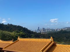 -深圳仙湖植物园