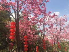 -昆明动物园