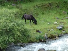 -硗碛藏寨·神木垒景区
