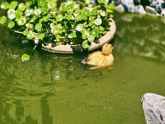 -她说户外烧烤团建(西湖店)