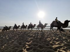 -黄沙古渡原生态旅游区