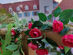 -大塘金香草谷