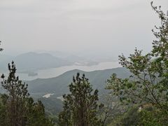 -大鹅岛灶台鱼·铁锅炖(水库路店)