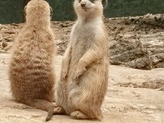 -沈阳森林动物园