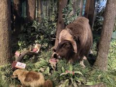 -陕西自然博物馆