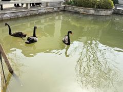 -雅达·阳羡溪山小镇中心