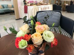 -宝生月子中心·独栋独院式(南山店)