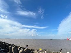 -上海滨江森林公园