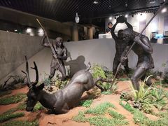 -北京周口店北京人遗址博物馆