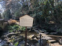 -井之头恩赐公园