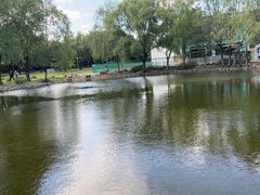 -望湖公园