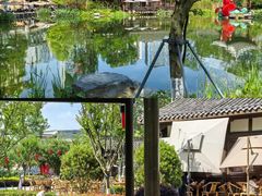 -铁像寺水街