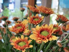 -HAPPEN(江川东路店)