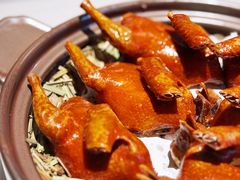 -炆艺乳鸽·煲仔饭大排档(望京来广营店)