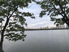 -艾溪湖湿地公园