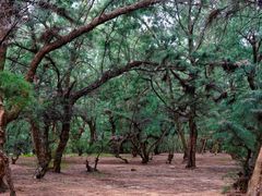 -北海金海湾红树林生态旅游区