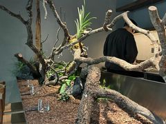 -曲廊院(东四十一条店)