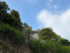 -上海佘山国家森林公园西佘山园