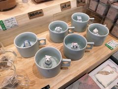 -猫的天空之城概念书店(印象城购物中心店)