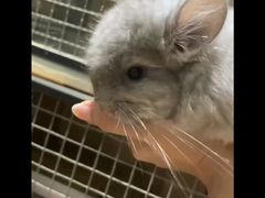 -龙猫仔乐园(惠福东路店)