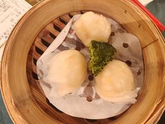 誉八仙虾饺-誉八仙粤菜(万象天地店)