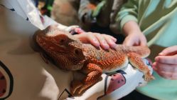 -酷嗒动物文化乐园(cutezoo西溪乐天城店)