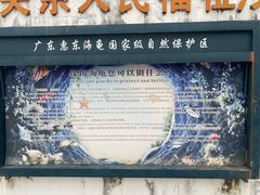 -广东惠东海龟国家级自然保护区