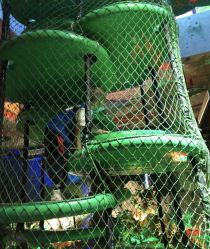 -恐龙探索乐园(磁器口店)