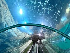 -上海海洋水族馆